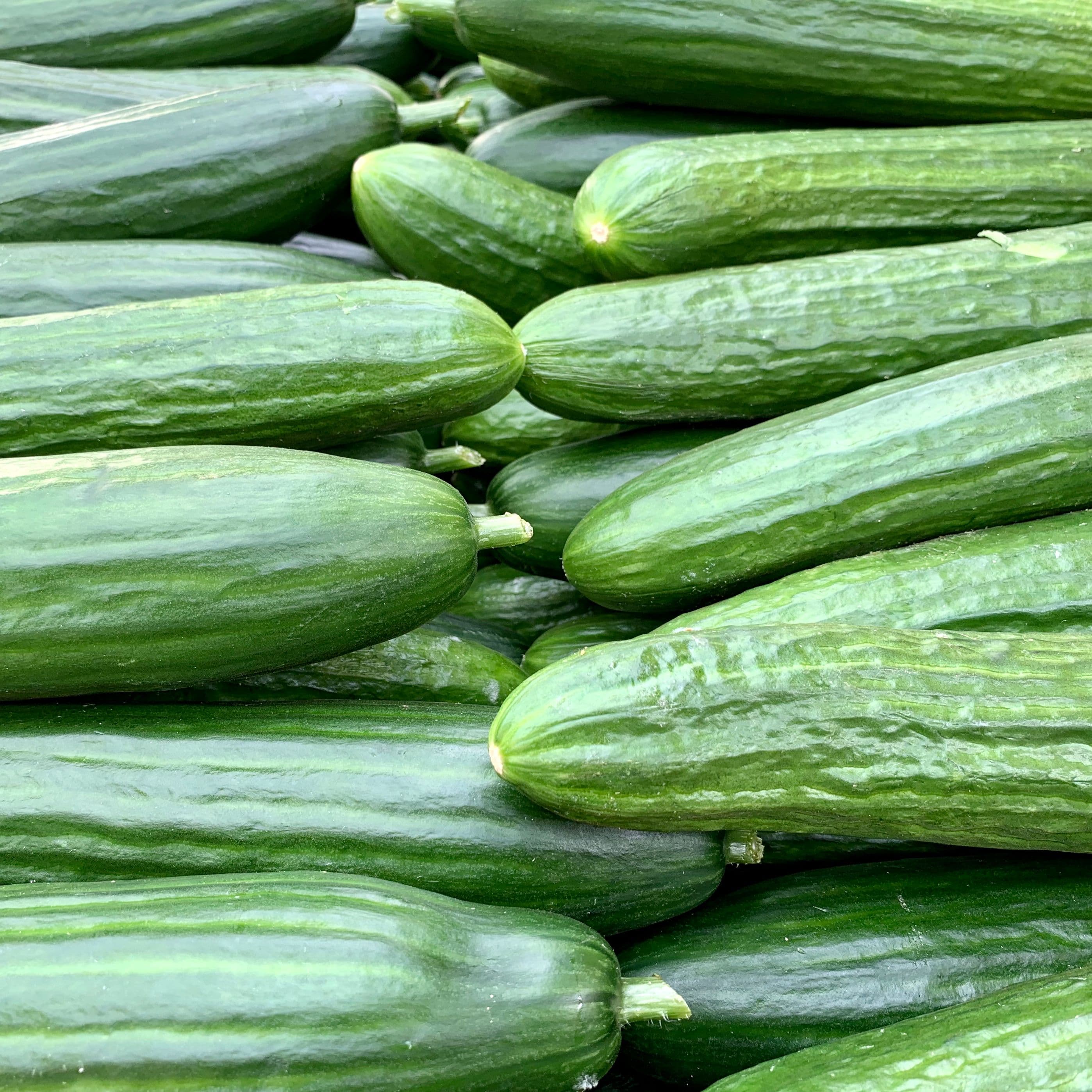 CONCOMBRE