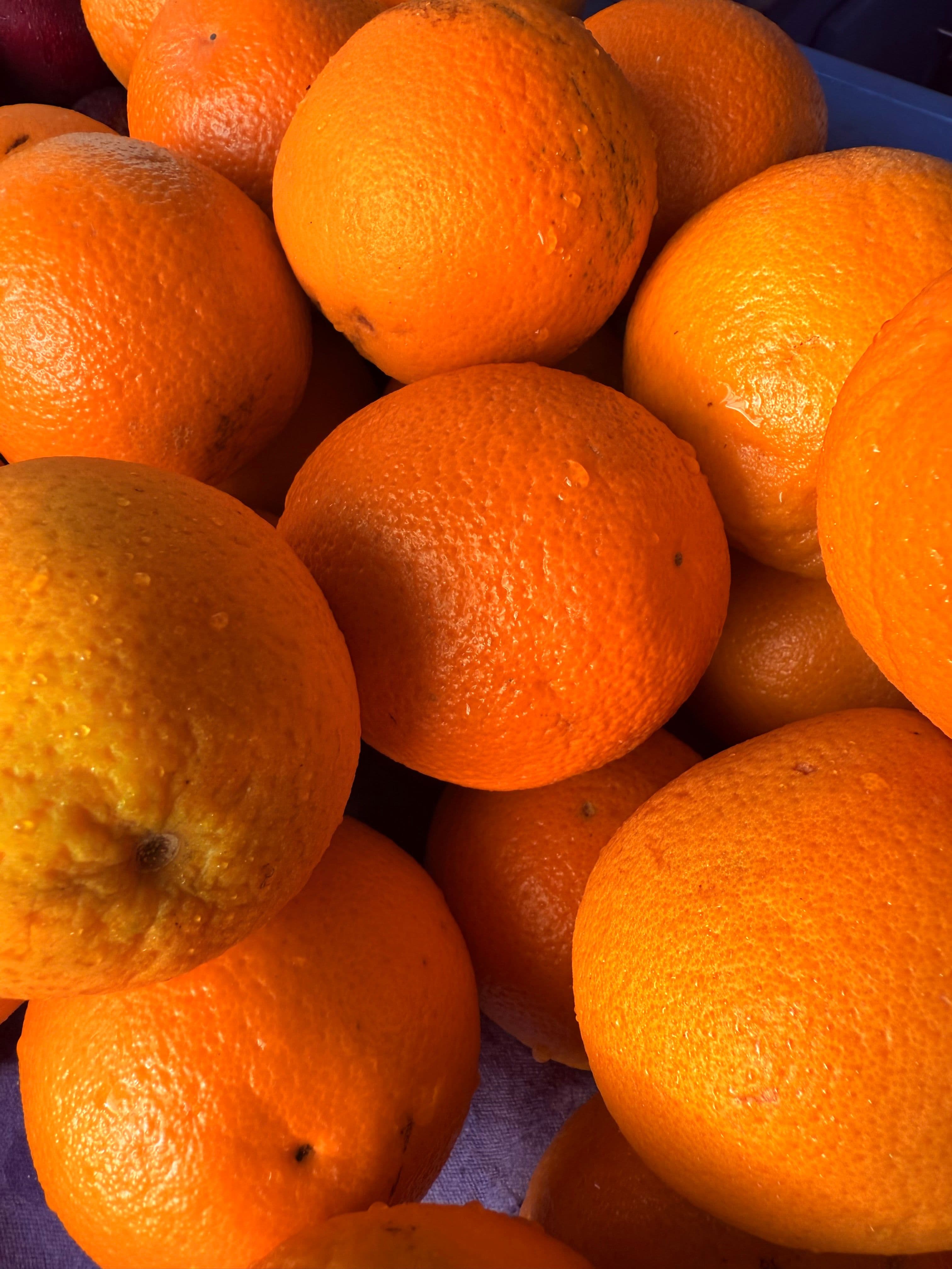 ORANGES A JUS